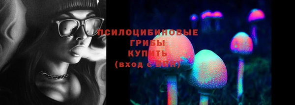 меф Ладушкин
