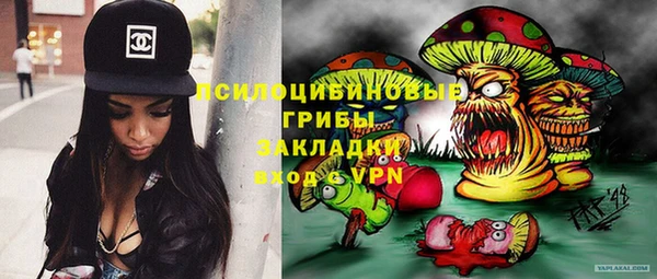 бутират Лагань