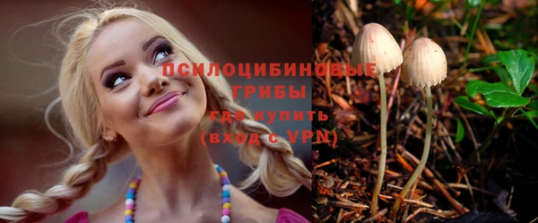 бутират Лагань
