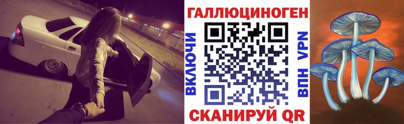 Псилоцибиновые грибы Psilocybe  Купить  Калачинск 